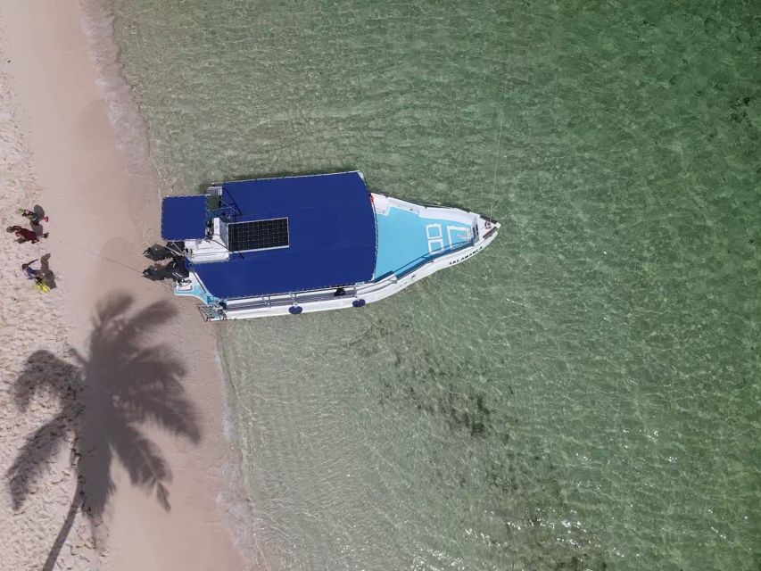 From La Romana: Saona Island for Aida Cruises Passengers - Turtle Nursery Stop: What You Might See (and What You Might Not)