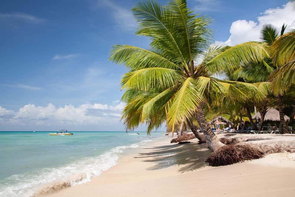 From Punta Cana: Catamaran Tour to Saona Island with Open Bar and Buffet - Key things to know before you go