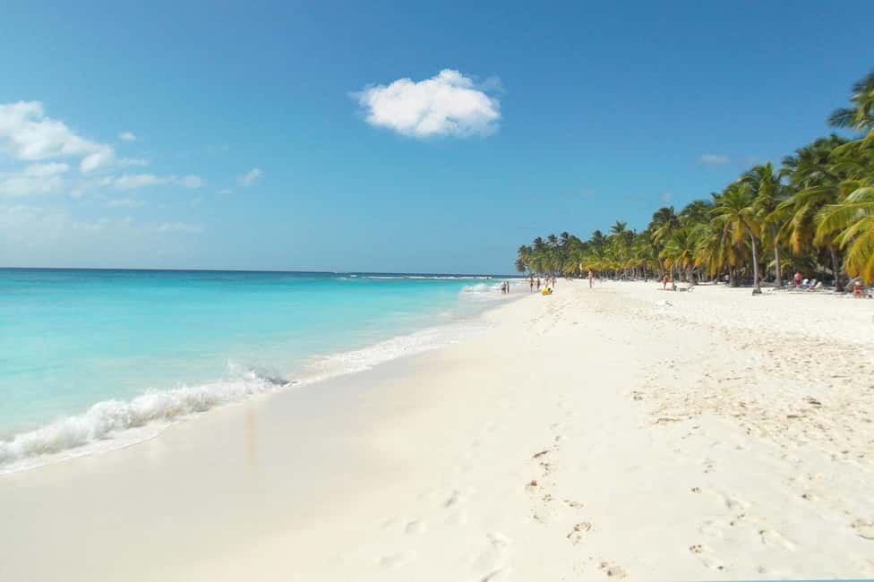 From Punta Cana: Catamaran Tour to Saona Island with Open Bar and Buffet - The natural pool sandbar: warm water, starfish spotting, and a short swim window