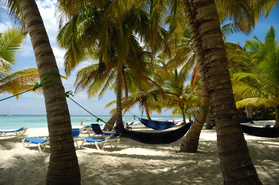 From Punta Cana: Catamaran Tour to Saona Island with Open Bar and Buffet - Saona Island for 3 hours: how to make that beach time count
