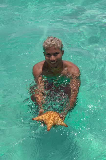From Punta Cana: Catamaran Tour to Saona Island with Open Bar and Buffet - Where the tour really delivers value for $81