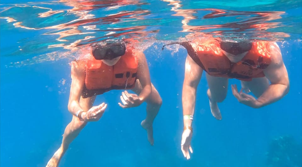 From Punta Cana or Bayahibe: Catalina Island with Snorkeling - Should you book this Catalina Island snorkeling trip?