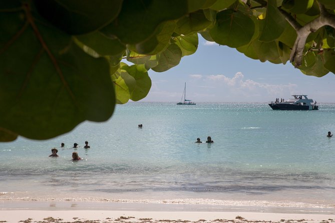 From Punta Cana: Saona Island & Altos de Chavon Day Trip with Lunch and Open Bar - Guide energy: why Benjamin, Henry, Cesar, and Danny Boy matter
