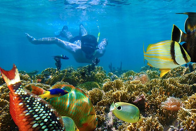 Full-Day Adventure: 4x4 Experience, Snorkeling Cruise, Sharks & Rays - Los Hoyos del Salado Cenote: Why This Stop Deserves Attention