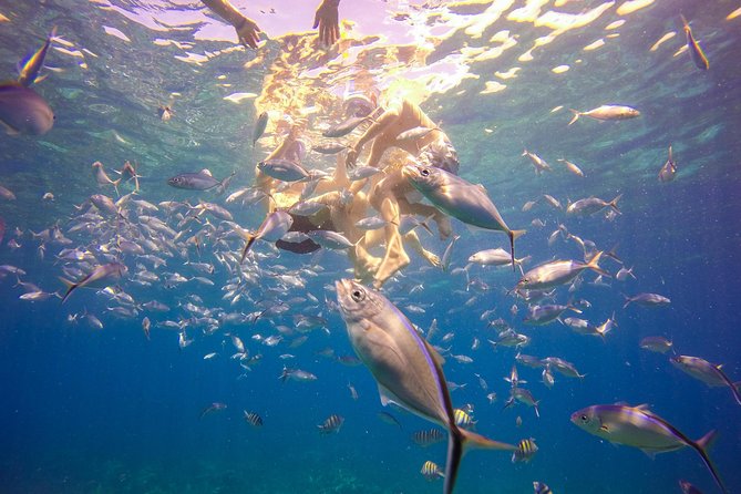 Full-Day Catalina Island Snorkeling Tour from La Romana - Dominican BBQ Lunch: Food, Timing, and What to Expect