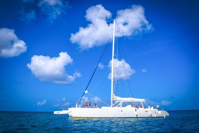 Full-Day Excursion in Saona Island - Speedboat ride and the Natural Pool stop (45 minutes)