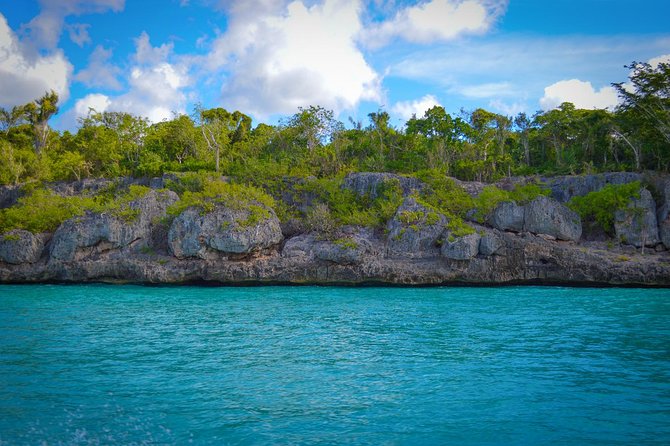 Full-Day Excursion in Saona Island - Saona Island time: swimming, shade, and sharp-rock caution