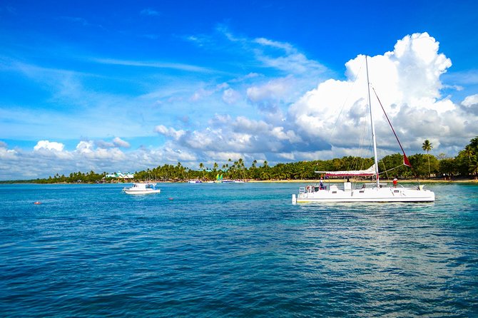 Full-Day Excursion in Saona Island - The catamaran return party and where to sit