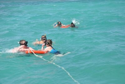 Great Snorkeling Cruise with Sharks & Stingray Encounter and Natural Pool - Sharks and stingrays in the marine park: what you can expect in the water