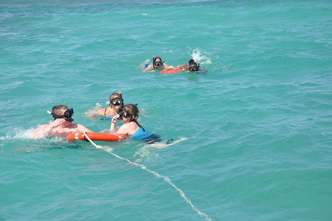 Great Snorkeling Cruise with Sharks & Stingray Encounter and Natural Pool - Sharks and stingrays in the marine park: what you can expect in the water