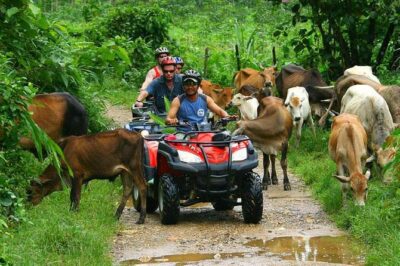 Half-Day Adventure 4x4 ATV, Water Cave and Dominican Culture - Jungle Trails to the Organic Farm: Coffee, Chocolate, and Rum in Plain Sight
