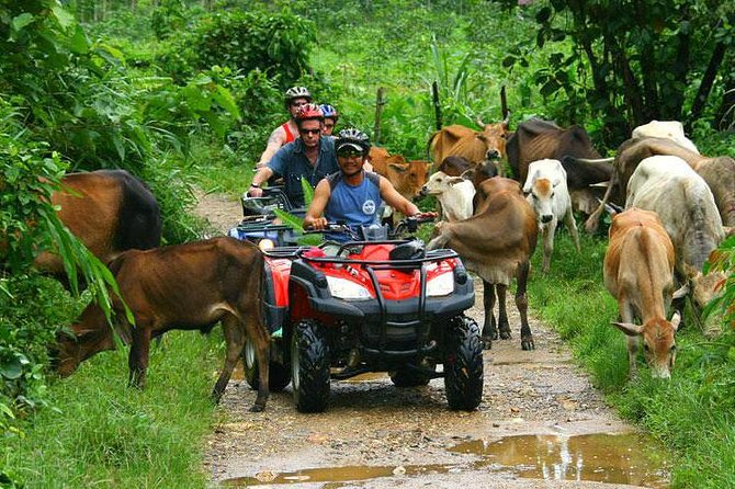 Half-Day Adventure 4x4 ATV, Water Cave and Dominican Culture - Jungle Trails to the Organic Farm: Coffee, Chocolate, and Rum in Plain Sight