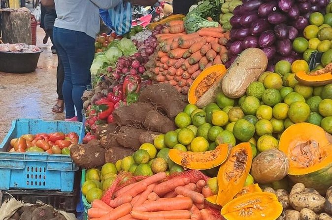 Half-day City tour cultural from punta cana for small group - Horse ride and the countryside stretch: fun, but check what you’re signing up for