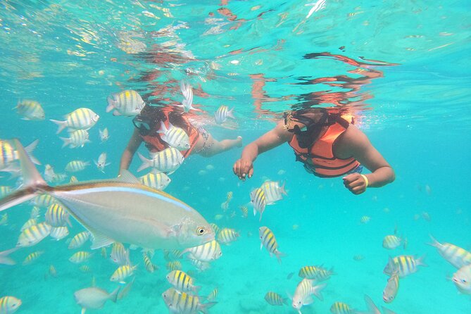Half-Day Private Party Boat and Snorkeling in Punta Cana - Value Check: Is $698 Per Group a Smart Deal?