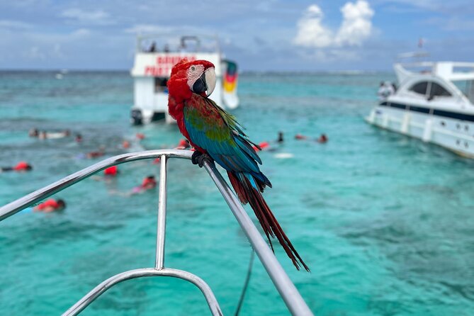 Hip Hop Party Boat with Snorkeling Punta Cana - Free Nightclub Entry: How It Fits the Evening