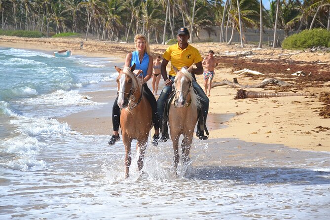 Horseback Riding Adventure Punta Cana - Your 2-Hour Route: From Quiet Shore to Faster Moments