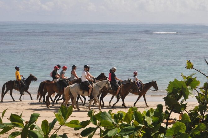 Horseback Riding Adventure Punta Cana - Horses, Wildlife, and That Calm-Carriage Feeling