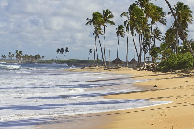 Horseback Riding Adventure Punta Cana - Photos and the Rum Bottle Deal: What You Should Plan For
