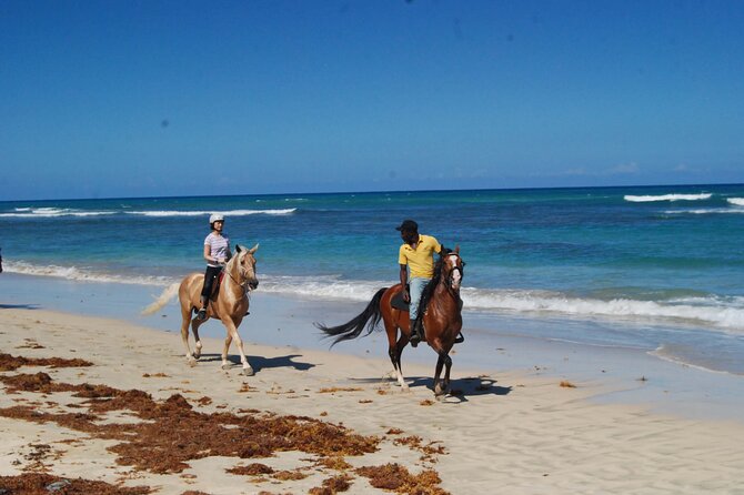 Horseback Riding Adventure Punta Cana - Price and Value: Is $40 Worth It?