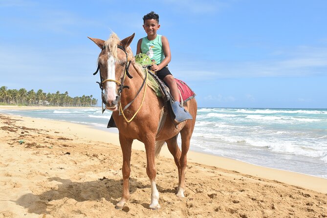 Horseback Riding Adventure Punta Cana - Who This Punta Cana Horseback Ride Fits Best