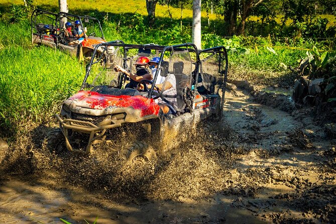 Jungle Buggies and Monkeyland from Punta Cana - Jungle Buggies and Monkeyland in Punta Cana: What You’re Really Buying