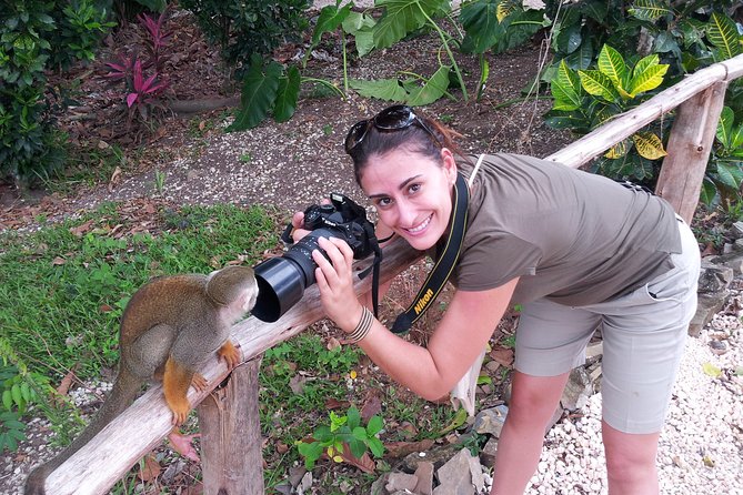 Jungle Buggies and Monkeyland from Punta Cana - Monkeyland: The 45-Minute Squirrel Monkey Experience That People Talk About