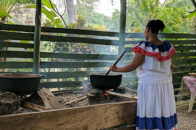 Jungle Buggies and Monkeyland from Punta Cana - Coconut House Stop (Casa del Coco): Coconut Oil, Local Craft, and Real Stuff