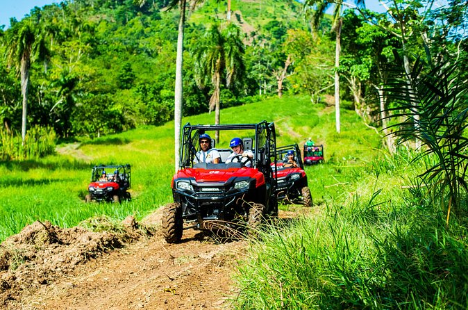 Jungle Buggies + Ziplines Adventures - Lunch, Water, and What to Pack for a Mud-and-Zip Day