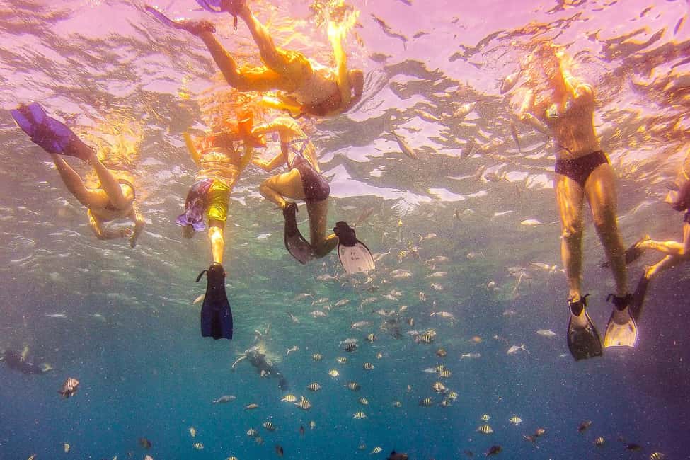 La Romana: Catalina Island Full-Day Snorkeling Tour - Key things to know before you go