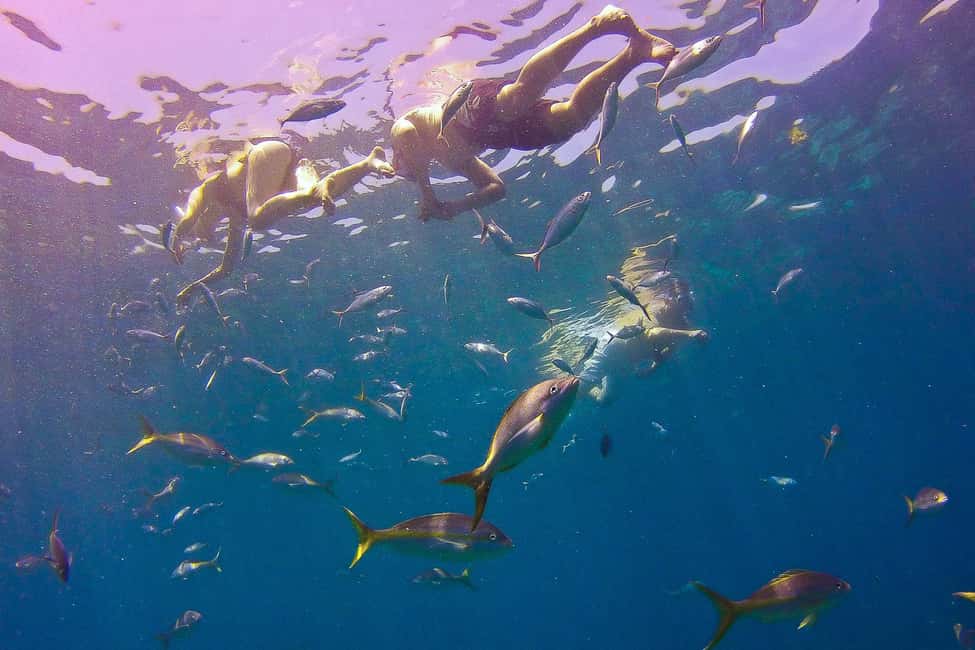 La Romana: Catalina Island Full-Day Snorkeling Tour - Who this tour suits best—and who should rethink it