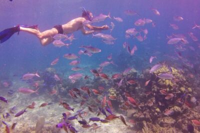La Romana: Catalina Island Full-Day Snorkeling Tour - The morning snorkel at The Wall: where most of the magic happens