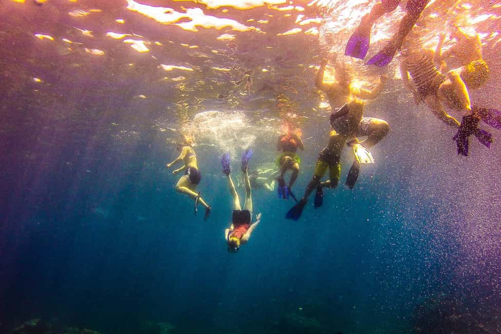 La Romana: Catalina Island Full-Day Snorkeling Tour - Lunch around 13:00: Dominican barbecue on the sand