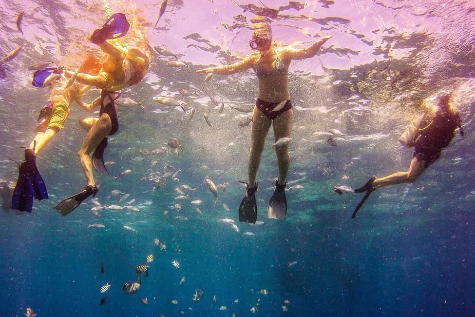La Romana: Catalina Island Full-Day Snorkeling Tour - Boarding back and the afternoon wind-down