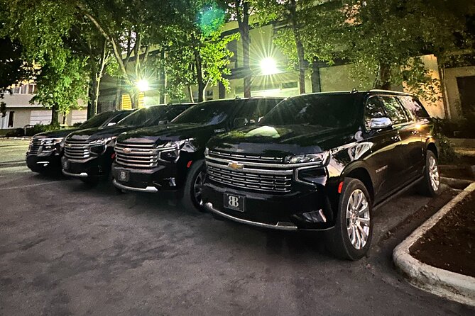 Luxe Black Car Transfer – Cap Cana, Bavaro & Punta Cana Airport - Entering the Airport Flow: The Meet-and-Greet You Want
