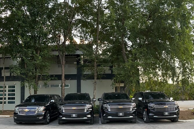 Luxe Black Car Transfer – Cap Cana, Bavaro & Punta Cana Airport - On the Road: Comfort, Safety, and Local-Flavor Options
