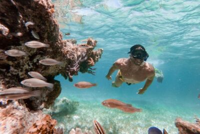 Marinarium Snorkeling Cruise from Punta Cana - Animal Exhibit Warm-Up and First Look at the Coast