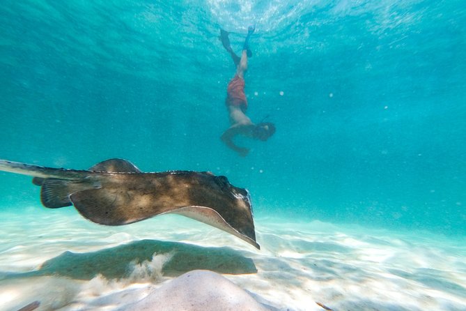 Marinarium Snorkeling Cruise from Punta Cana - Who This Tour Suits Best (and who should rethink it)