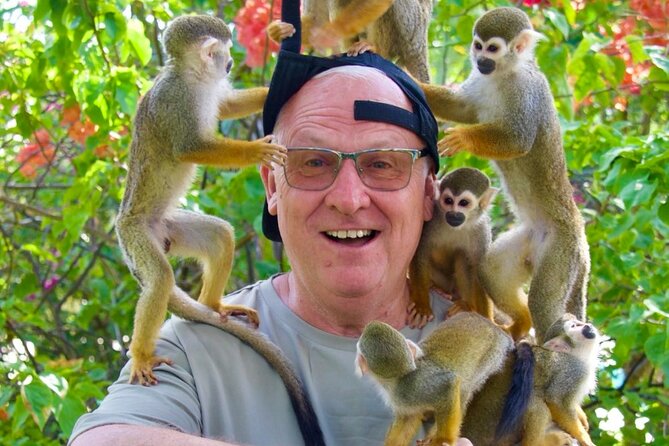 Monkey House VIP Experience with 4 species of monkeys, Punta Cana - Monkey House VIP: the 2.5-hour plan you’re really signing up for