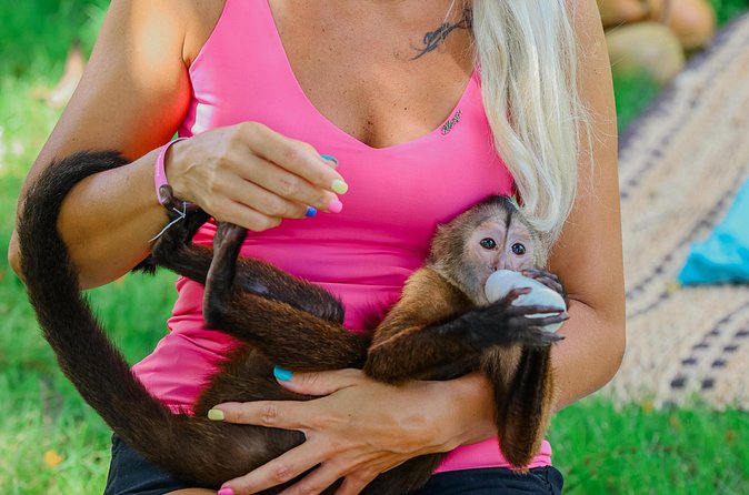 Monkey House VIP Experience with 4 species of monkeys, Punta Cana - Who Monkey House VIP is best for