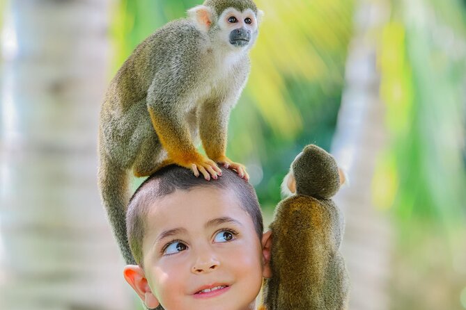 Monkey House VIP Experience with 4 species of monkeys, Punta Cana - Animal interaction reality check: safety, mess, and what to wear