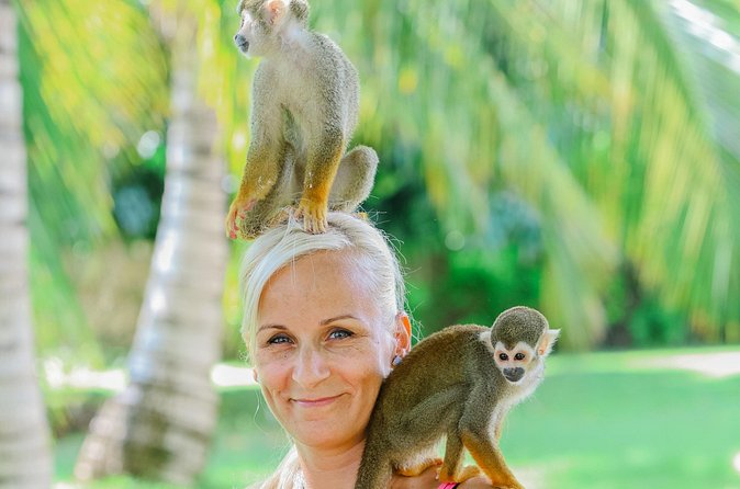 Monkey House VIP Experience with 4 species of monkeys, Punta Cana - Should you book Monkey House VIP in Punta Cana?