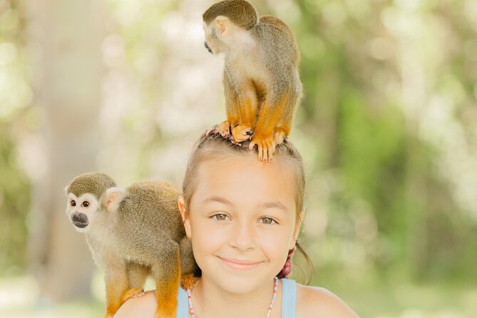 Monkey House VIP Experience with 4 species of monkeys, Punta Cana - Four species, one encounter: what feeding with each monkey feels like