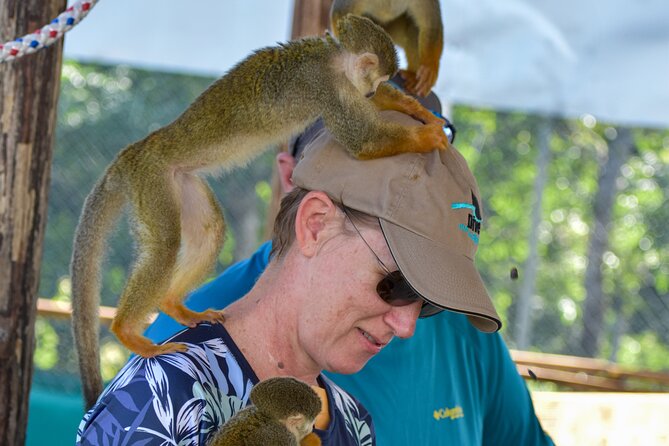 Monkey Mania Puerto Plata - Getting there from Puerto Plata: pickup, AC, and the 25–30 minute drive