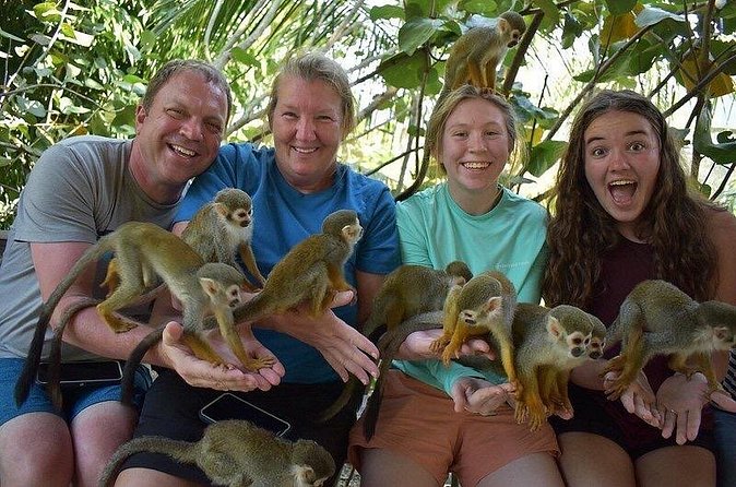 Monkey Mania Puerto Plata - Price and value: why $75 can feel fair here
