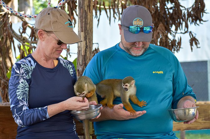 Monkey Mania Puerto Plata - Guides, pacing, and the small details that make or break it