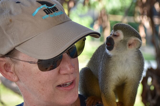 Monkey Mania Puerto Plata - Should you book this tour or look elsewhere?