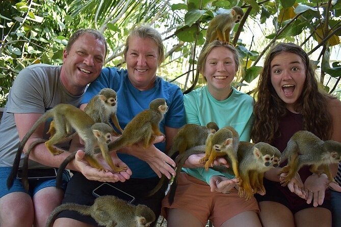 Monkey Mania Puerto Plata - The Monkey Mania encounter: what you’re doing during the main 50 minutes