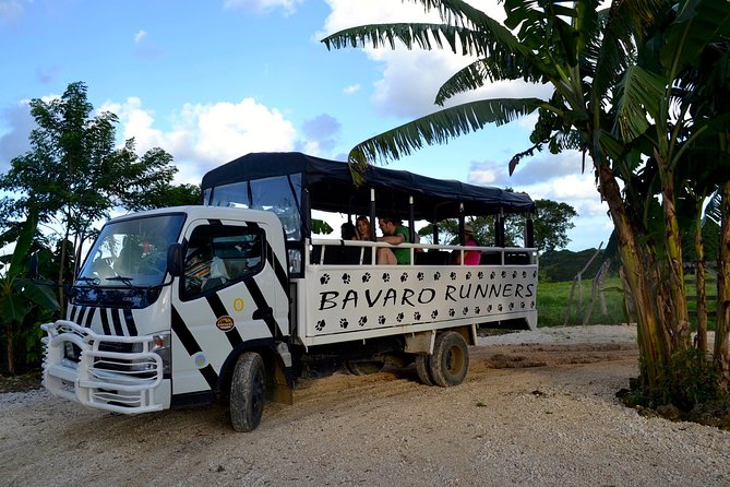 Monkeyland and Plantation Safari Tour from Punta Cana - Feeding the Monkeys: Fun Rules, Real Safety, and Sensible Gear