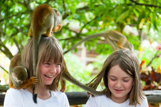 Monkeyland and Plantation Safari Tour from Punta Cana - Price and Logistics Check: Is $80 Good Value?