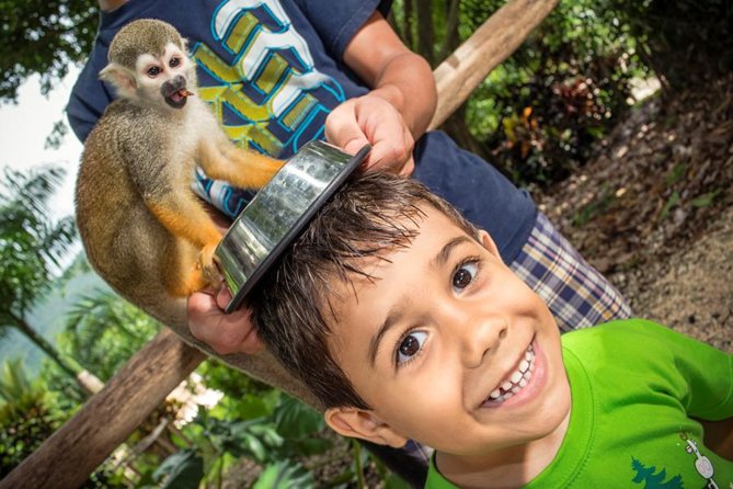 Monkeyland and Plantation Safari Tour from Punta Cana - The Plantation Portion: How Coffee, Cacao, Cinnamon, Vanilla, and Organic Farming Fit Together